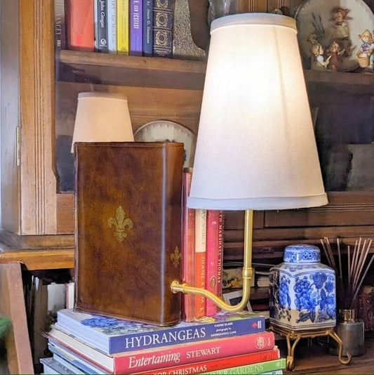 🎄Christmas Sale 49% OFF 🎄 The "Classic" Literary Lamp - Battery Powered