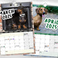 Cheeky Dachshunds - 2025 Wall Calendar